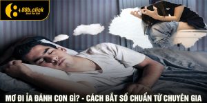 Mơ Đi ỉa Đánh Con Gì