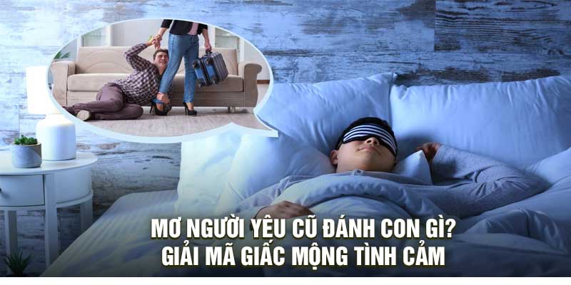 Mơ Người Yêu Cũ Đánh Con Gì? Giải Mã Giấc Mộng Tình Cảm
